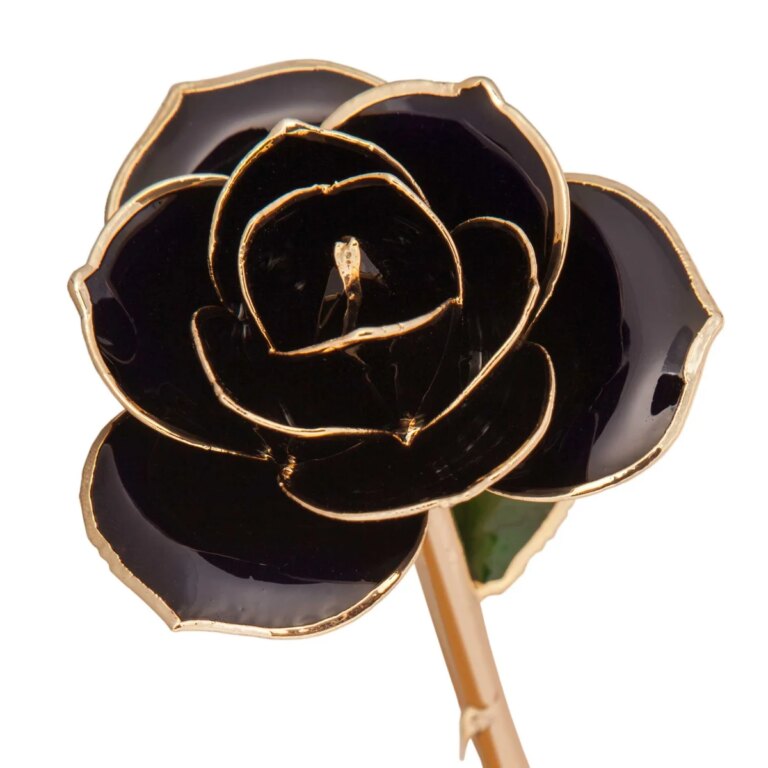 r83970050-768x768 Diamond Black Gold Dipped Rose